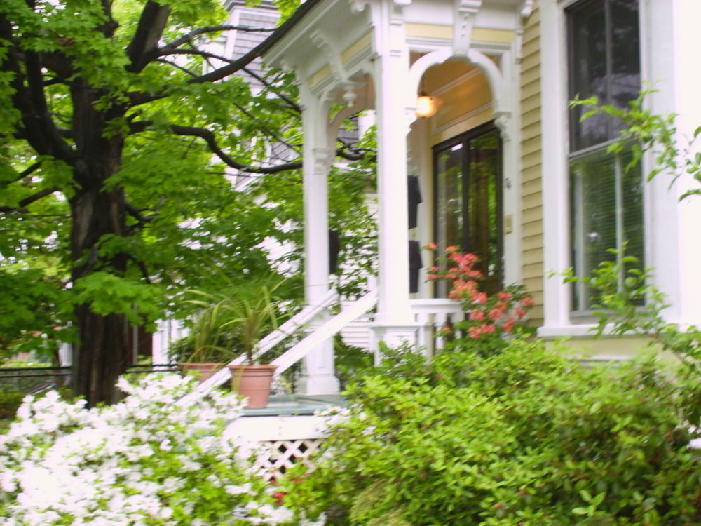 Parkside On Ellery Hotel Cambridge Exterior photo