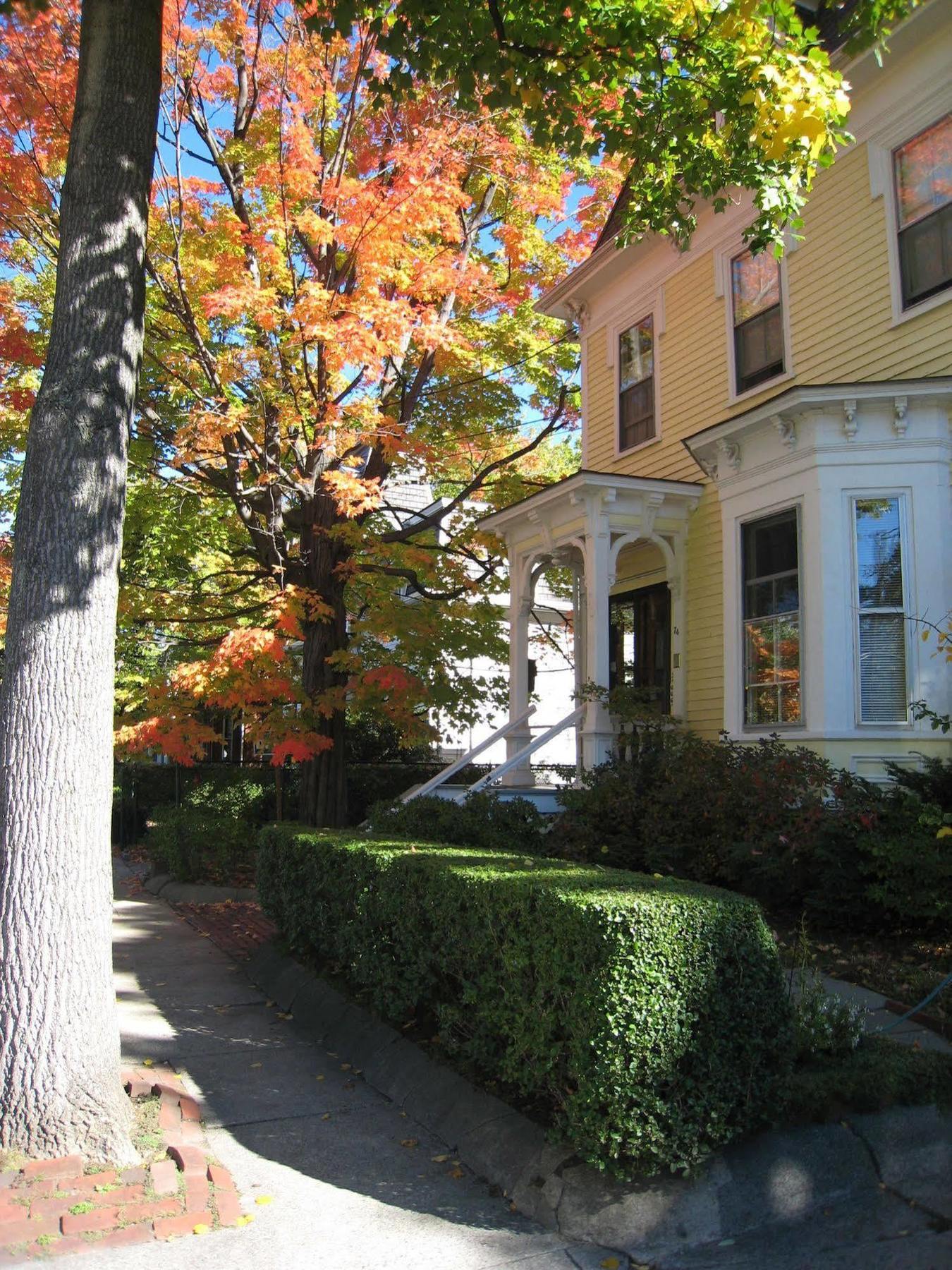 Parkside On Ellery Hotel Cambridge Exterior photo